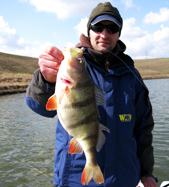 ORKA SHAD TAIL - REVIEW