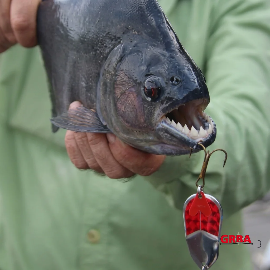 Grba Metal Spoon Lure
