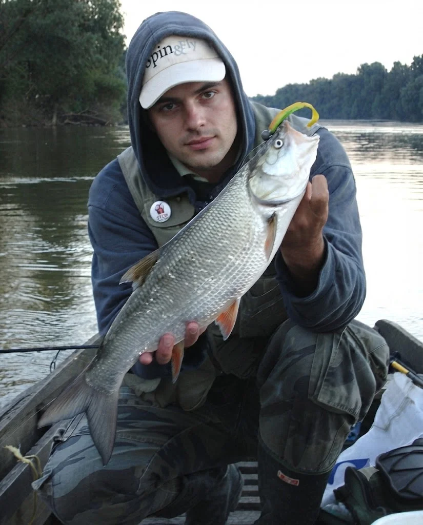 ORKA soft lures for Распер (Leuciscus aspius)